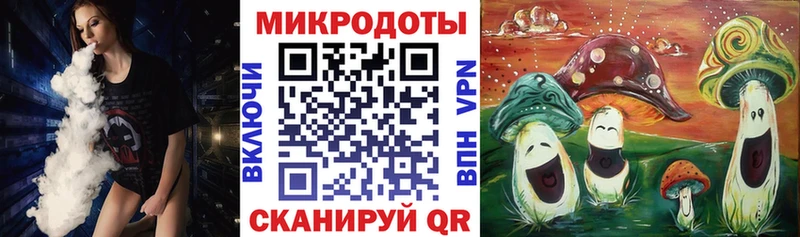 маркетплейс наркотические препараты  Киреевск  Псилоцибиновые грибы Psilocybe 